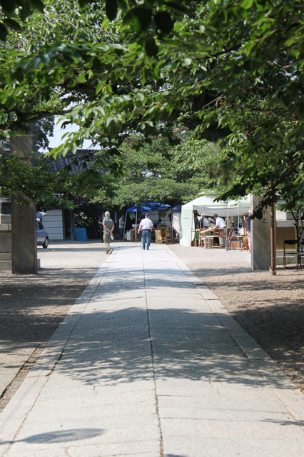 Img_3417 Img_3417