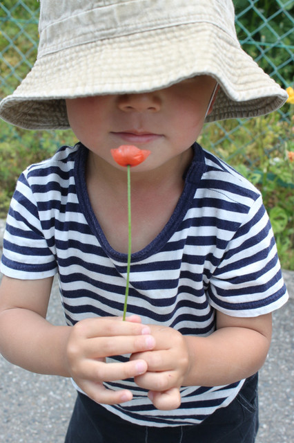 Img_1533 Img_1533