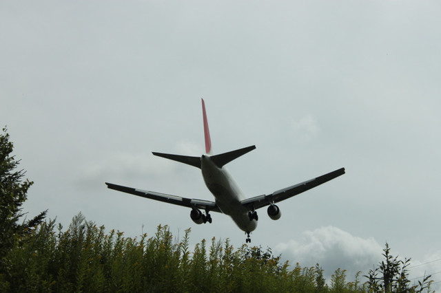 Img_3744 Img_3744