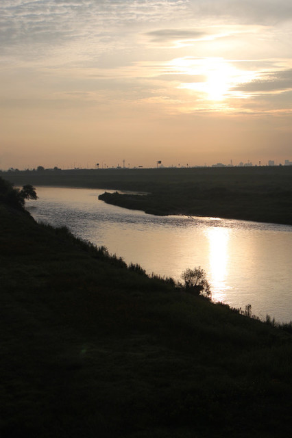 Img_3420 Img_3420