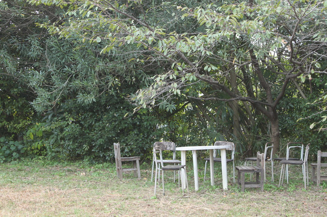 Img_0550 Img_0550