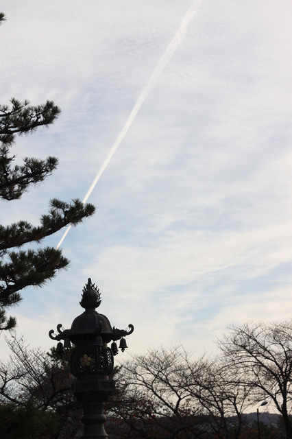 Img_7735 Img_7735