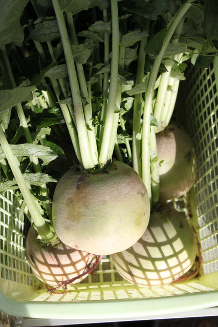 Img_7835 Img_7835