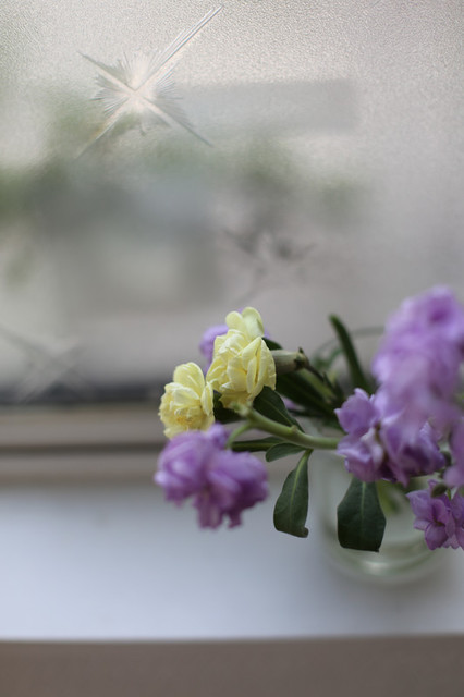 Img_1244 Img_1244