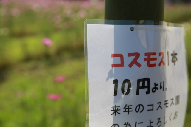 237a7625 237a7625